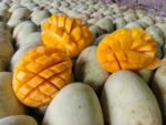 Gourmoti Mango । গৌড়মতি আম - Image 4