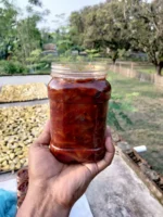 চাঁপাইনবাবগঞ্জের আমের আচার-1kg - Image 2