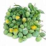 গোপালভোগ | Gopalbhog