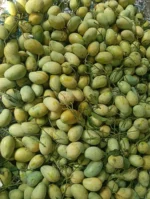 Amrupali | আম্রপালী আম