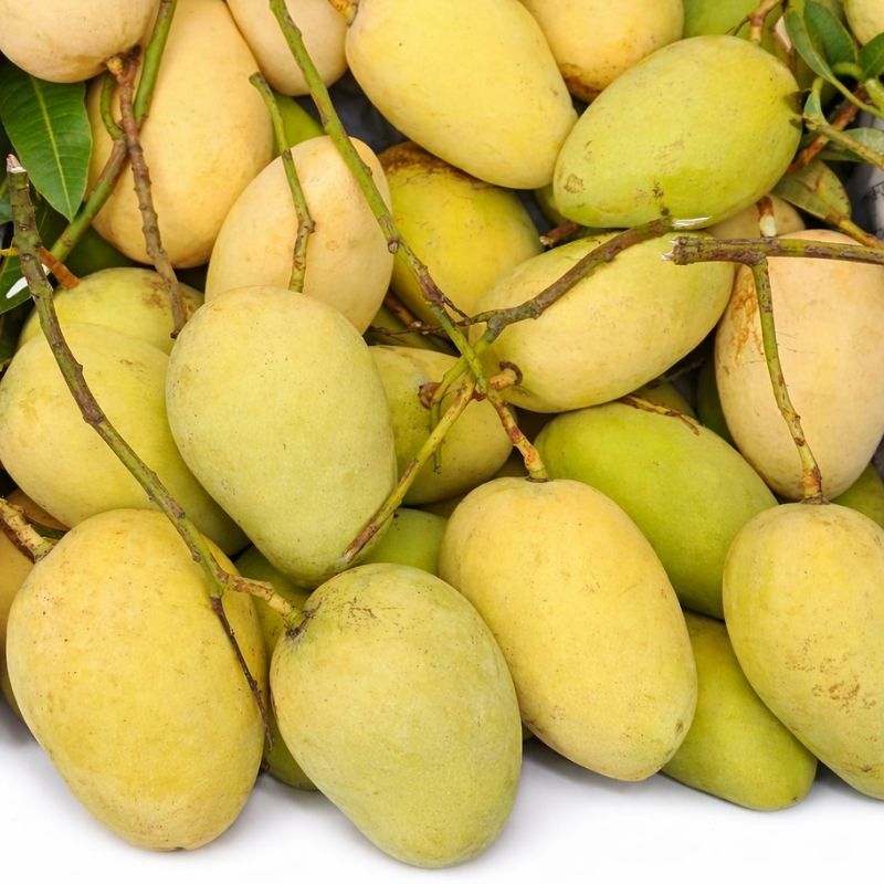 কাটিমন কাঁচা আম টক মিষ্টি সুইট কাটিমন আম-Sweet Katimon Mango - Image 1
