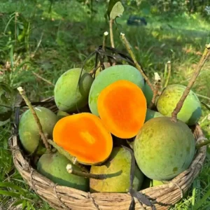 গোবিন্দভোগ আম